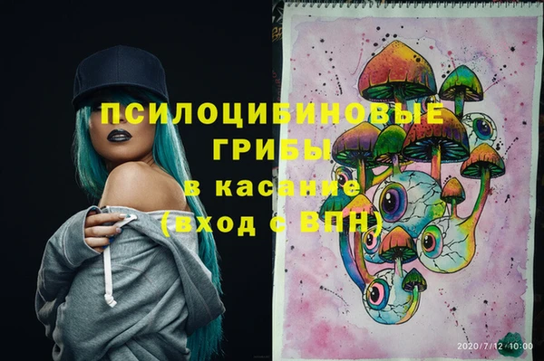 ГАЛЛЮЦИНОГЕННЫЕ ГРИБЫ Белокуриха