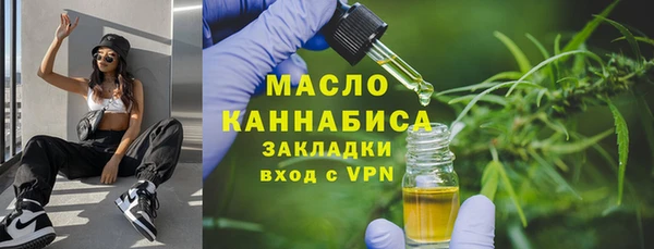 дживик Богородск