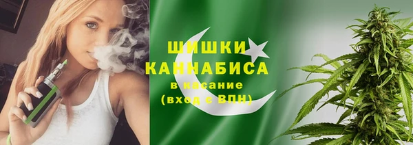 ГАЛЛЮЦИНОГЕННЫЕ ГРИБЫ Белокуриха