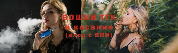 ГАЛЛЮЦИНОГЕННЫЕ ГРИБЫ Белокуриха