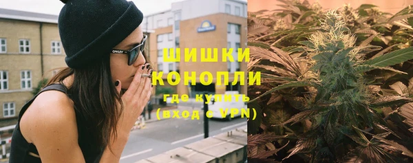 ГАЛЛЮЦИНОГЕННЫЕ ГРИБЫ Белокуриха