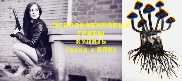 тгк Беломорск