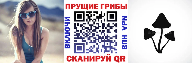 цены наркотик  Городовиковск  Галлюциногенные грибы Psilocybe 